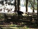 IMG-20181002-WA0029