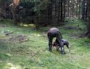 IMG-20181002-WA0041
